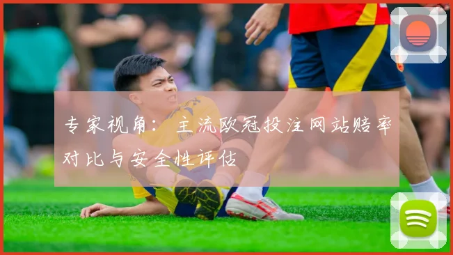 专家视角：主流欧冠投注网站赔率对比与安全性评估