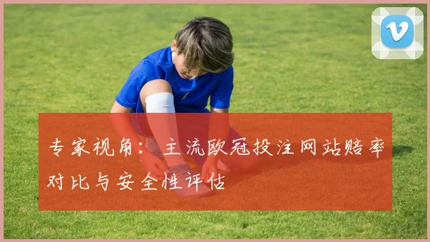 专家视角：主流欧冠投注网站赔率对比与安全性评估